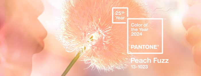 Cor do ano Pantone 2024: Peach Fuzz